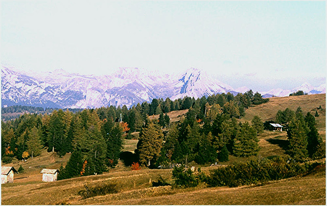 Alpen-5-024-81aw Seiseralm