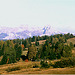 Alpen-5-024-81aw [I] Dolomiten, Seiseralm
