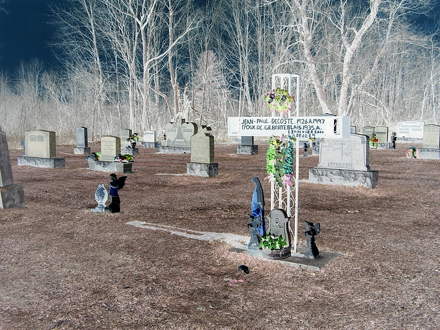 Cimetière St-André Apôtre  - St-André d'Argenteuil. Québec, CANADA -  19 mars 2010-  RVB en négatif