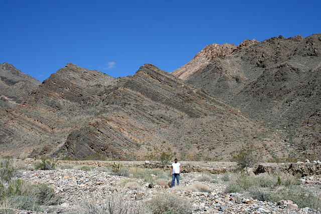 Trail Canyon (4361)