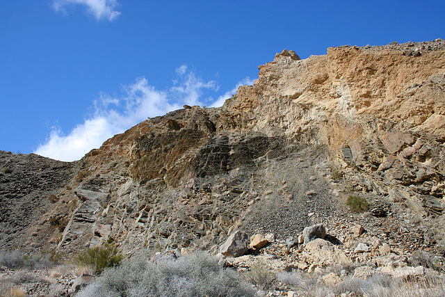 Trail Canyon (4363)