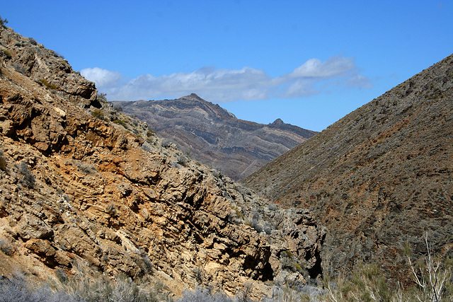 Trail Canyon (4462)