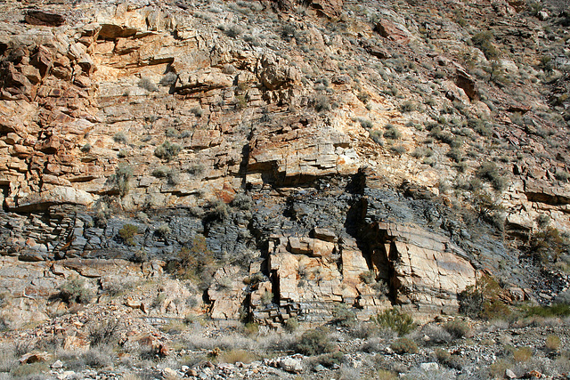 Trail Canyon (4495)