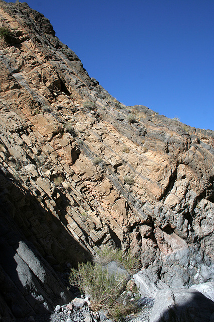 Trail Canyon (4510)