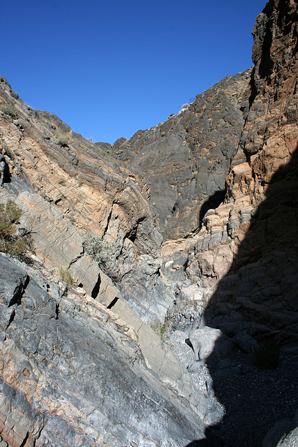 Trail Canyon (4511)