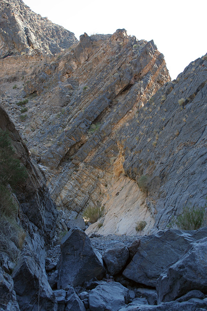 Trail Canyon (4523)