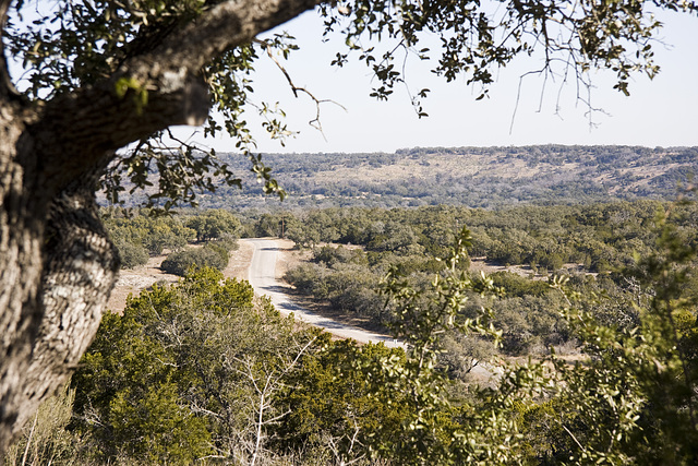 Pedernales Falls State Park