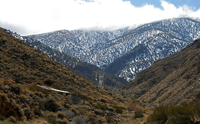 Trail Canyon - Mining Camp (4366)