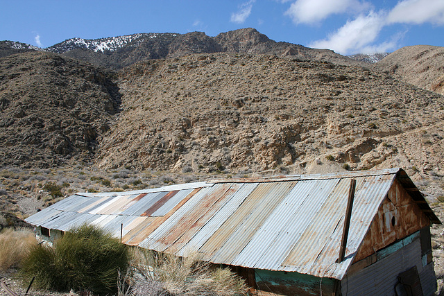 Trail Canyon - Mining Camp (4378)