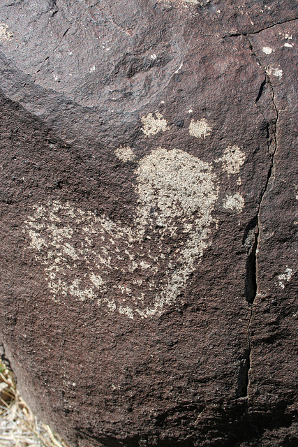 Three Rivers Petroglyphs (6025)