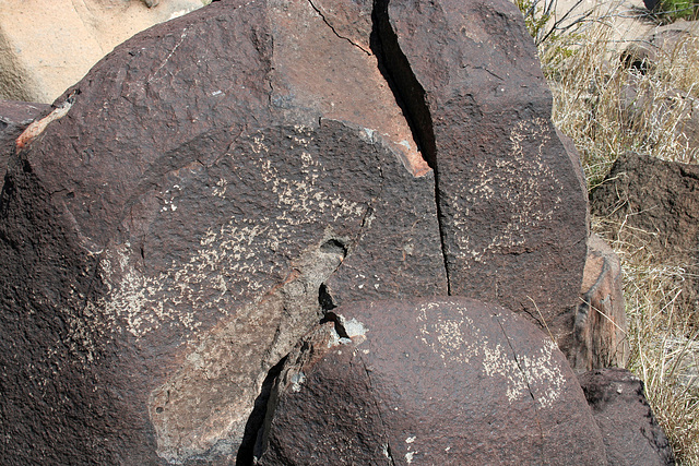 Three Rivers Petroglyphs (6027)