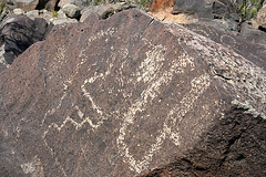 Three Rivers Petroglyphs (6031)