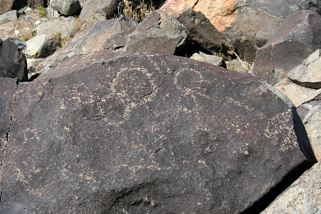 Three Rivers Petroglyphs (6032)