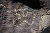 Three Rivers Petroglyphs (6036)