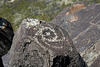 Three Rivers Petroglyphs (6040)