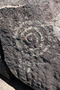 Three Rivers Petroglyphs (6041)