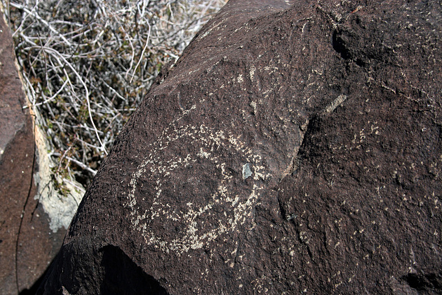 Three Rivers Petroglyphs (6044)