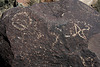 Three Rivers Petroglyphs (6046)