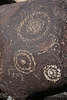 Three Rivers Petroglyphs (6048)