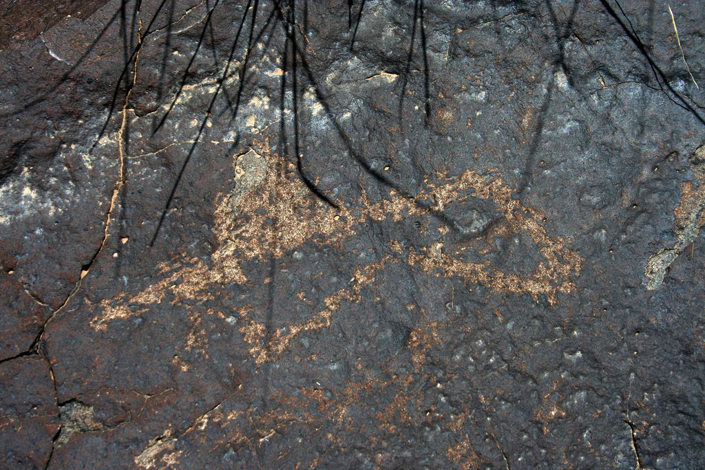 Three Rivers Petroglyphs (6050)