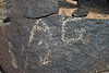 Three Rivers Petroglyphs (6051)