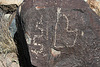 Three Rivers Petroglyphs (6054)