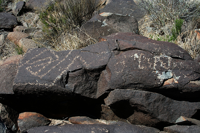 Three Rivers Petroglyphs (6055)