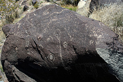 Three Rivers Petroglyphs (6056)