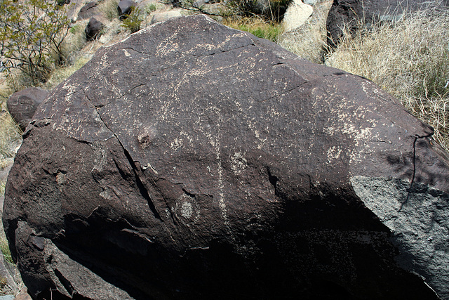 Three Rivers Petroglyphs (6056)