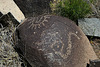 Three Rivers Petroglyphs (6057)