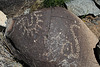Three Rivers Petroglyphs (6058)