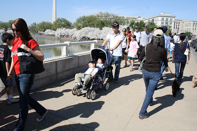 31.CherryBlossomFestival.TidalBasin.SW.WDC.1April2010