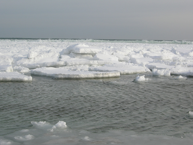 Eisschollen auf der Ostsee