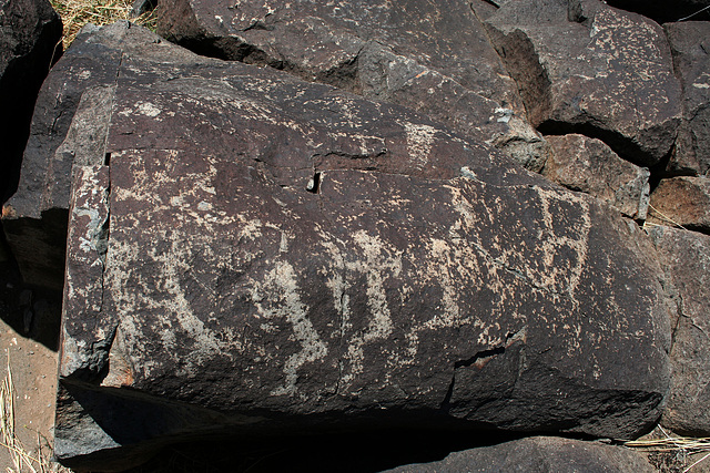 Three Rivers Petroglyphs (6066)