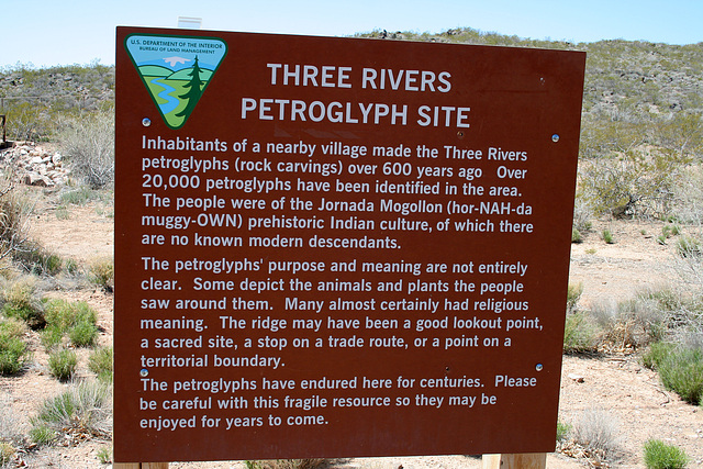 Three Rivers Petroglyphs (6173)