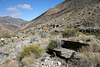 Trail Canyon - Mining Camp (4453)
