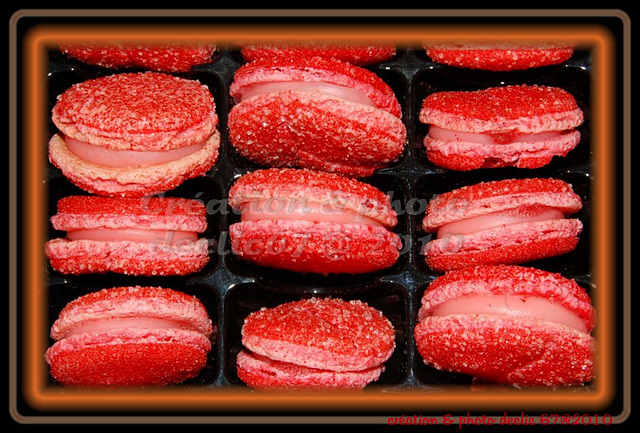 macaron 10(Choco'croc 2010)