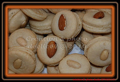 macaron 5 (Choco'croc 2010)