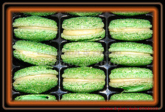 macaron 7(Choco'croc 2010)