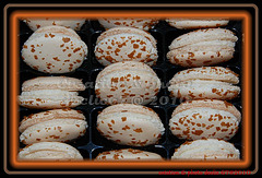 macaron 8(Choco'croc 2010)