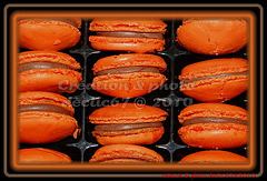 macaron 9(Choco'croc 2010)