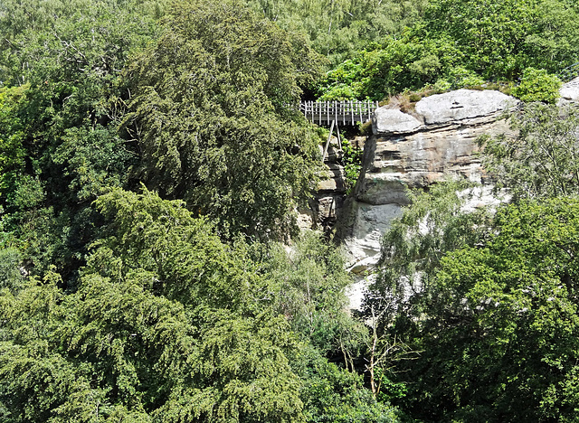 Foot bridge over the gorge