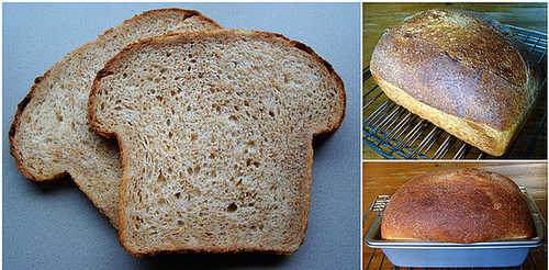 Farmhouse Potato Bread