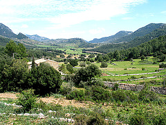 Orient - Mallorca