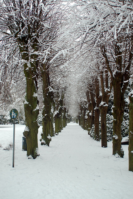 Winter 2010     02