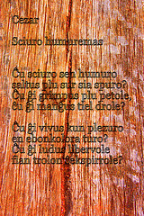 Cezar: Sciuro humuremas (poemfoto)