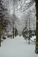 Winter 2010     04