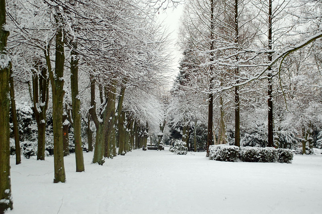 Winter 2010     05