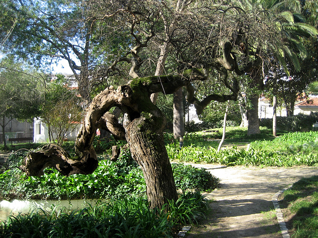 Benfica, Beau-Séjour Palace, garden (5)