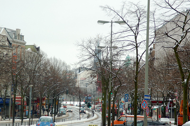 Winter 2010     29